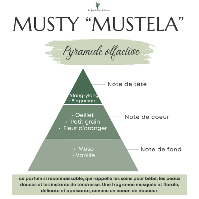 Musty- Bougie "classique" 