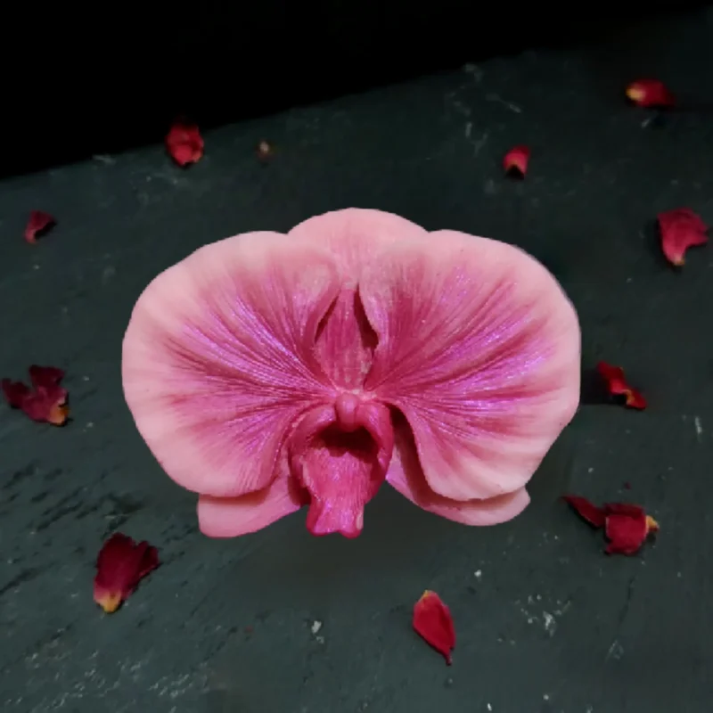 Orchidée rose - fondant de cire parfumé
