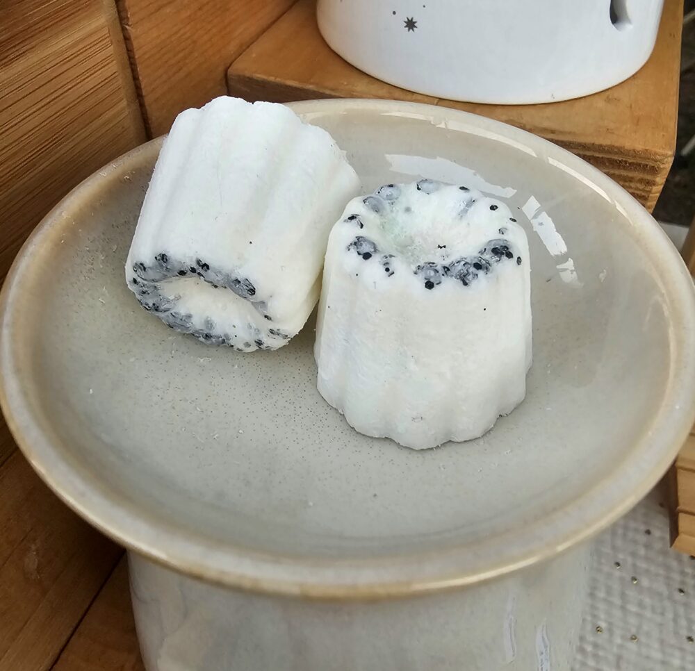 Vanille de Madagascar - Fondant de cire Mini-Cannelé